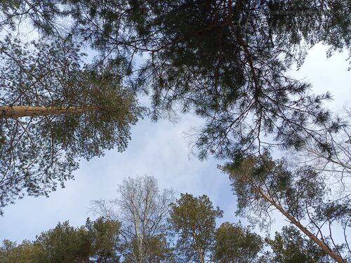 IMG_20260314_110843_755